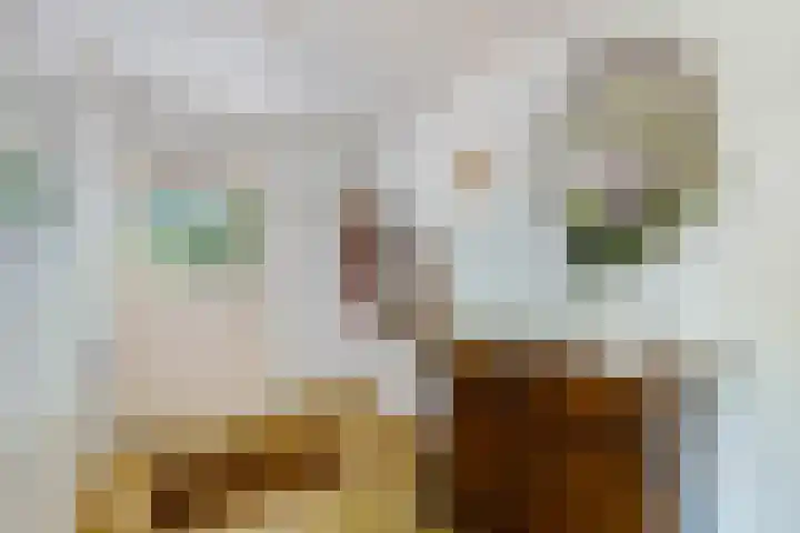 Kennebroeksweg 9 Glane thumbnail 21
