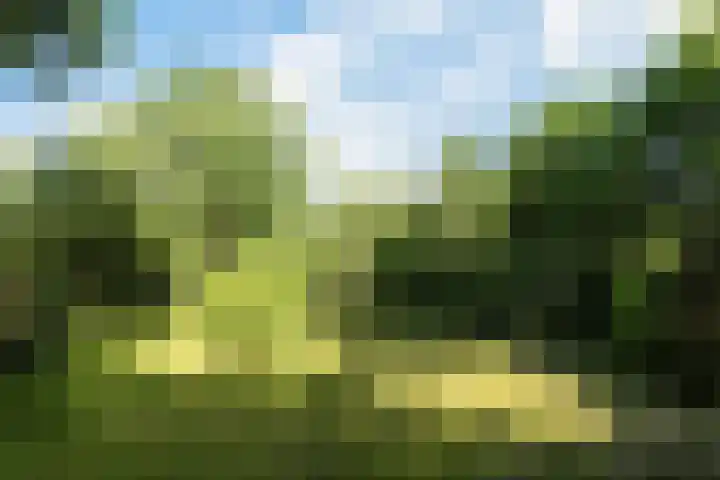Kennebroeksweg 9 Glane thumbnail 35