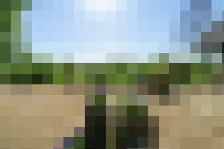 Kennebroeksweg 9 Glane thumbnail 52