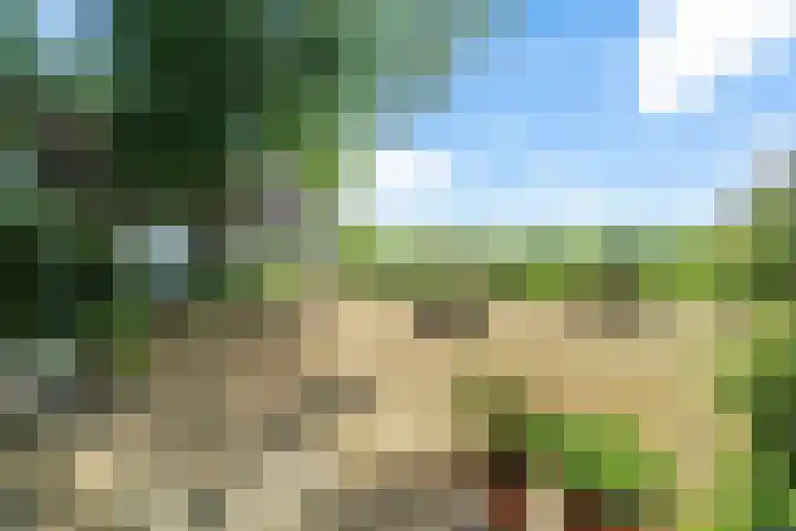 Kennebroeksweg 9 Glane thumbnail 53