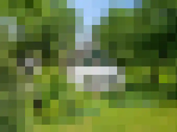 Kennebroeksweg 9 Glane thumbnail 55