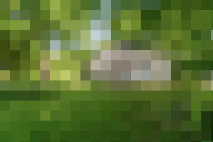 Kennebroeksweg 9 Glane thumbnail 56