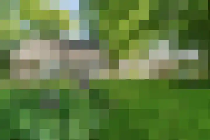 Kennebroeksweg 9 Glane thumbnail 57
