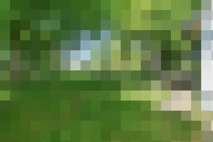 Kennebroeksweg 9 Glane thumbnail 58