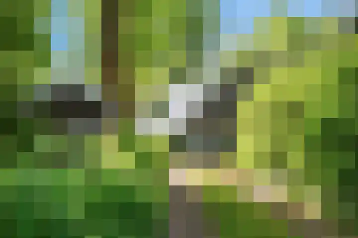 Kennebroeksweg 9 Glane thumbnail 63