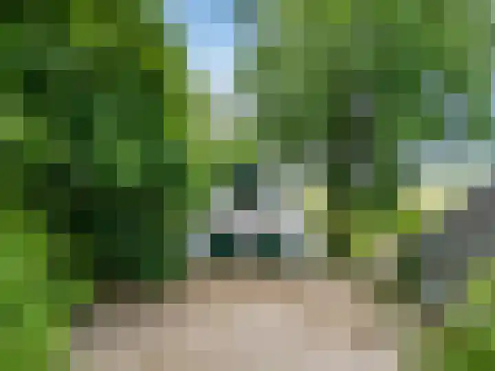 Kennebroeksweg 9 Glane thumbnail 67