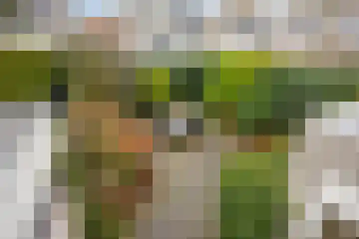 Kennedydreef 128 Ede thumbnail 24