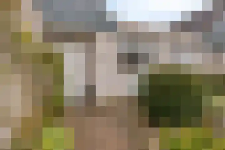 Kennedydreef 128 Ede thumbnail 28