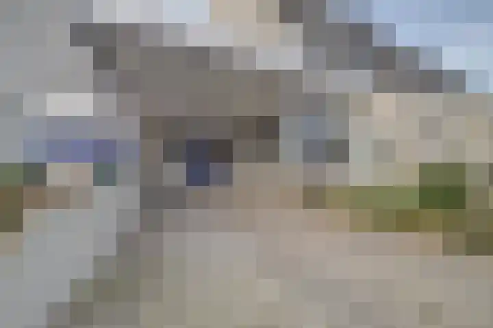 Kennedydreef 54 Ede thumbnail 30