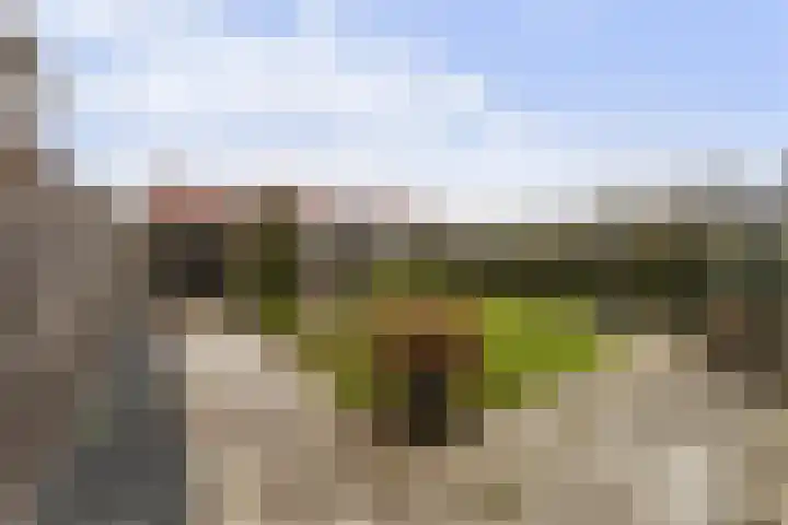 Kennedysingel 31 Winssen thumbnail 13