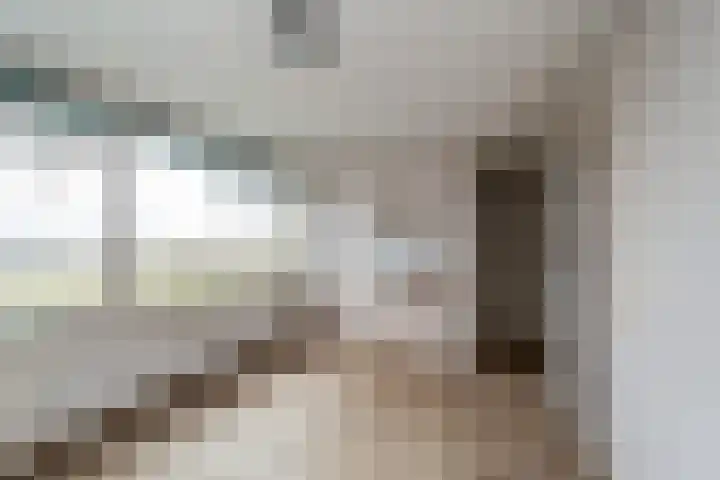 Kennedysingel 31 Winssen thumbnail 17