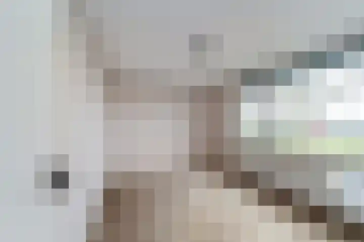 Kennedysingel 31 Winssen thumbnail 5