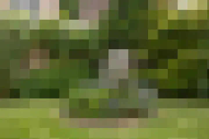 Kennedystraat 9 Boekel thumbnail 36