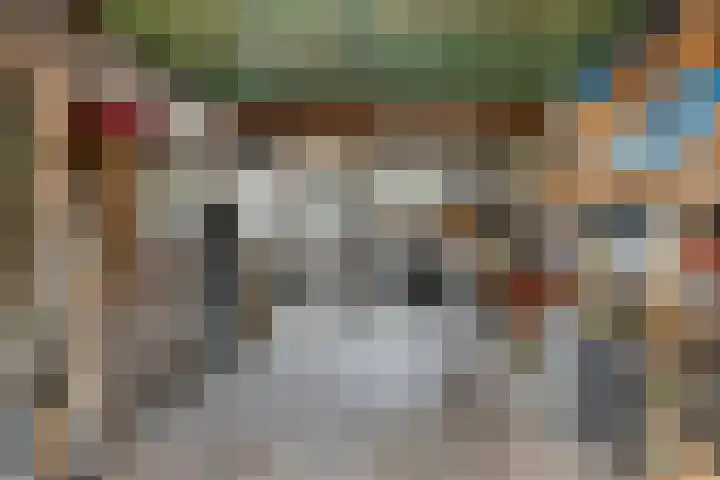 Kennedystraat 9 Boekel thumbnail 38