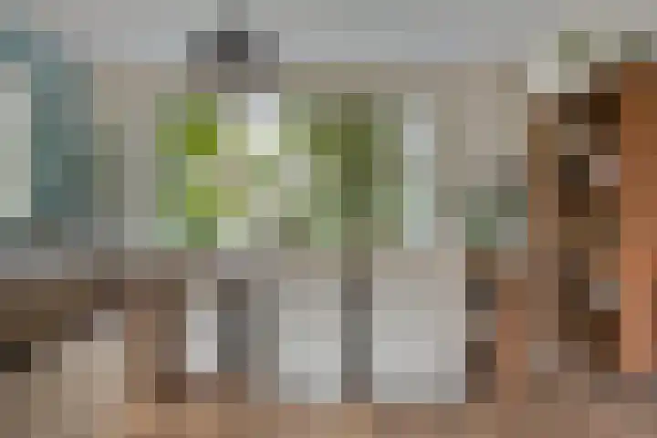 Kennedystraat 9 Boekel thumbnail 9