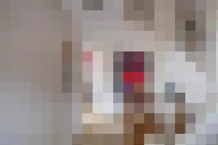 Kenwerd 6 Groningen thumbnail 18