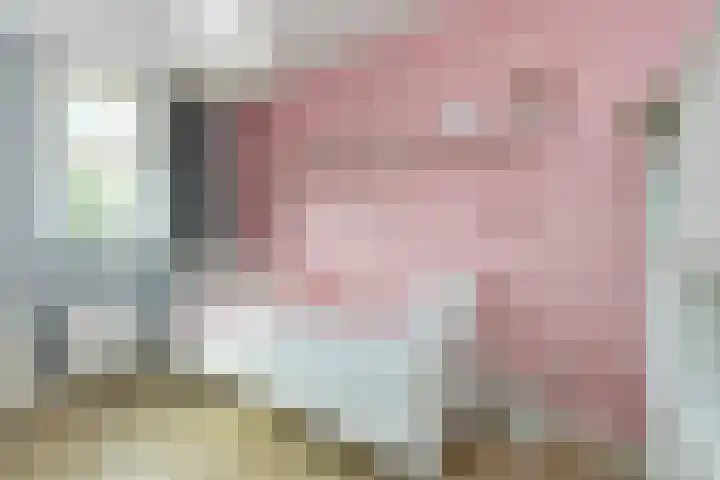 Kenwerd 6 Groningen thumbnail 25