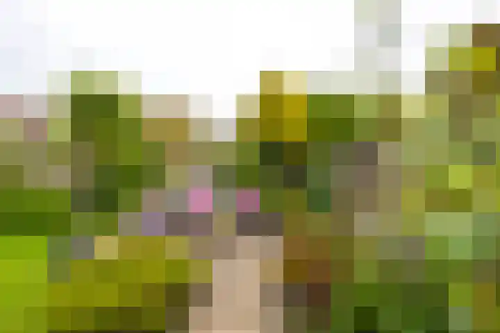 Kenwerd 6 Groningen thumbnail 36