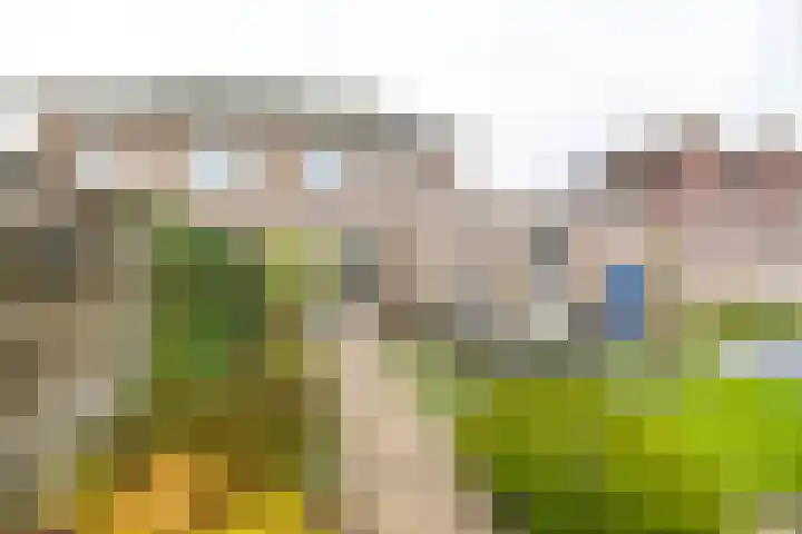 Kenwerd 6 Groningen thumbnail 37