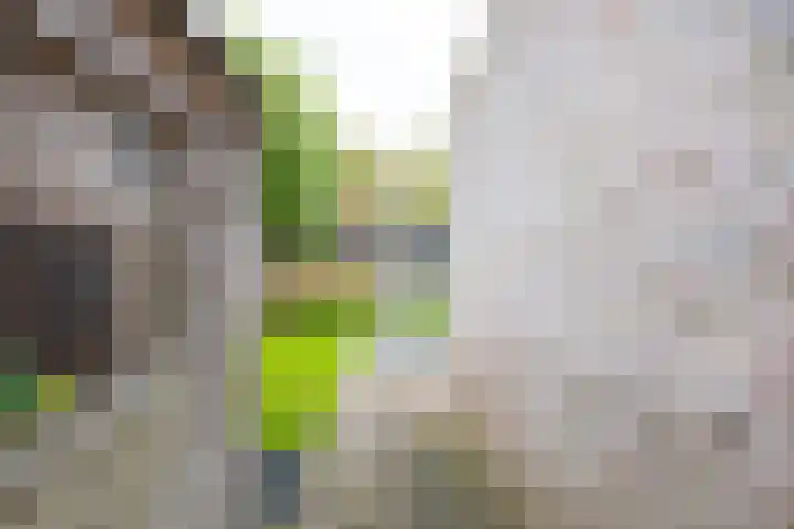 Kenwerd 6 Groningen thumbnail 39