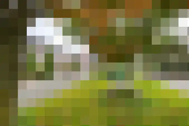 Kenwerd 6 Groningen thumbnail 41