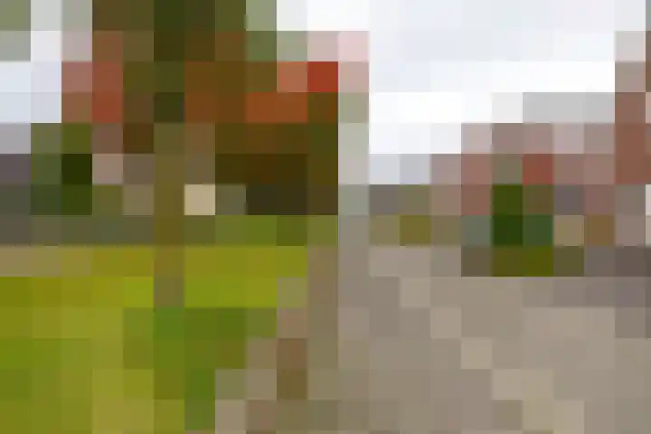 Kenwerd 6 Groningen thumbnail 44