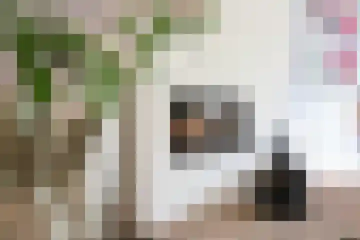 Keper 3 Goirle thumbnail 11