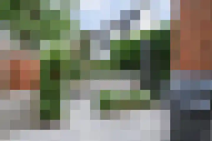 Keper 3 Goirle thumbnail 47