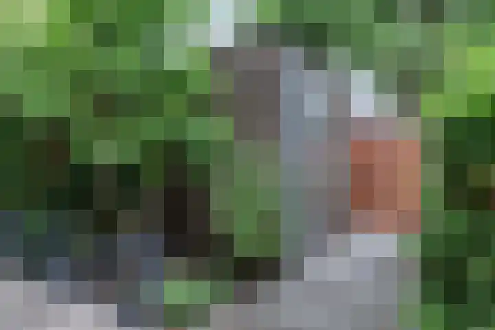 Keper 3 Goirle thumbnail 50