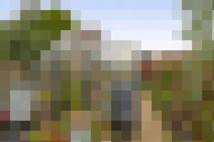 Keppel 8 Almelo thumbnail 33