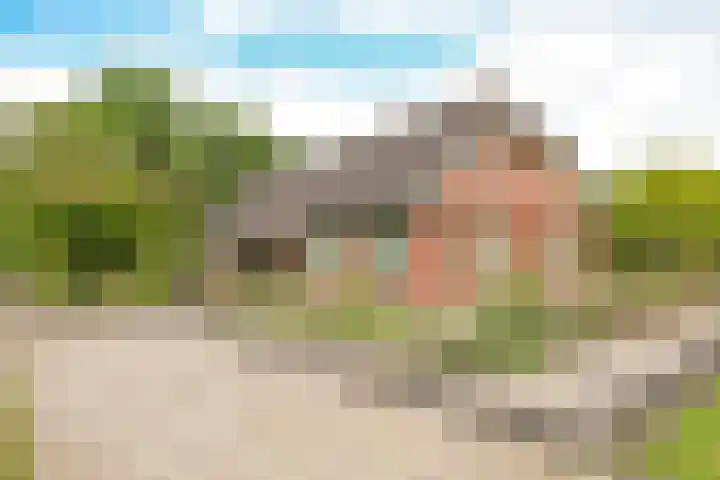 Keppelbroeksdijk 9 Westendorp thumbnail 32