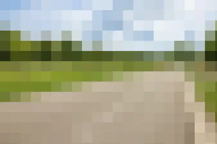 Kerckeboslaan 7 De Meern thumbnail 40