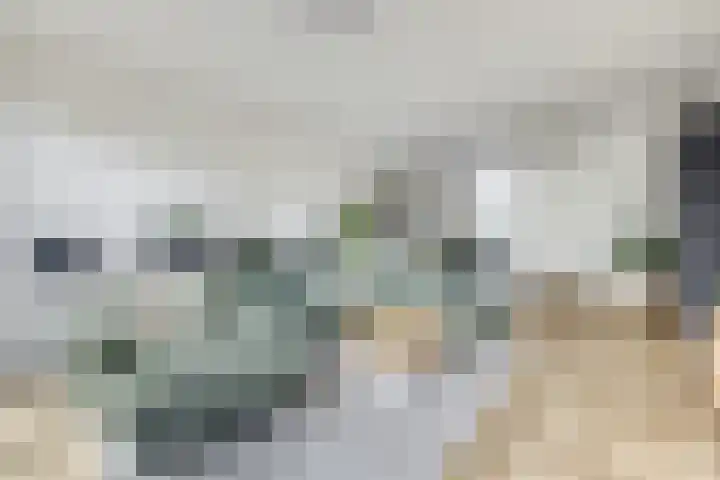 Kerckeboslaan 7 De Meern thumbnail 9