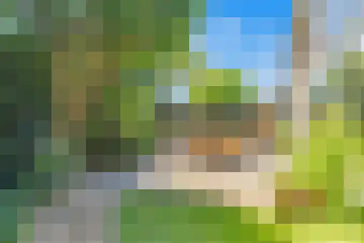 Kerckeven 3 Castricum thumbnail 50