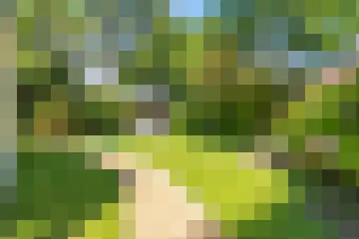 Kerckeven 3 Castricum thumbnail 52