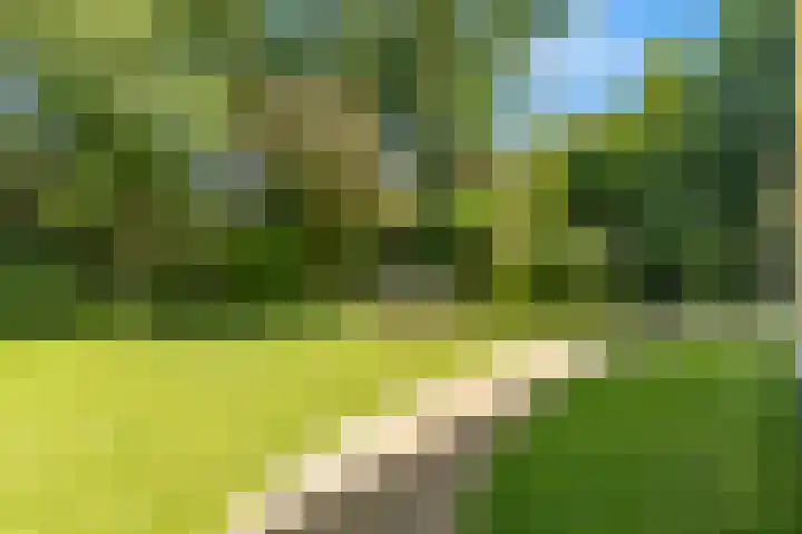 Kerckeven 3 Castricum thumbnail 53