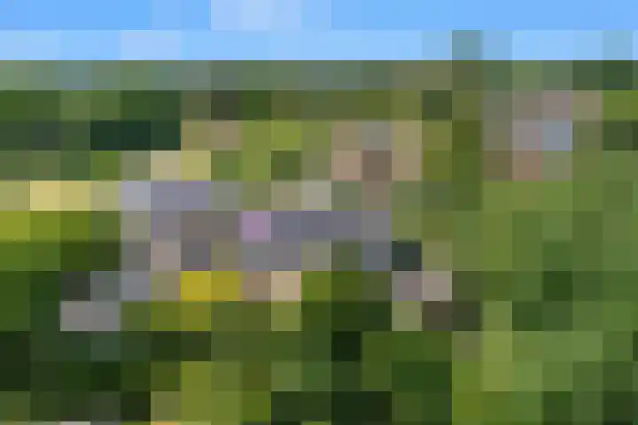 Kerckeven 3 Castricum thumbnail 59