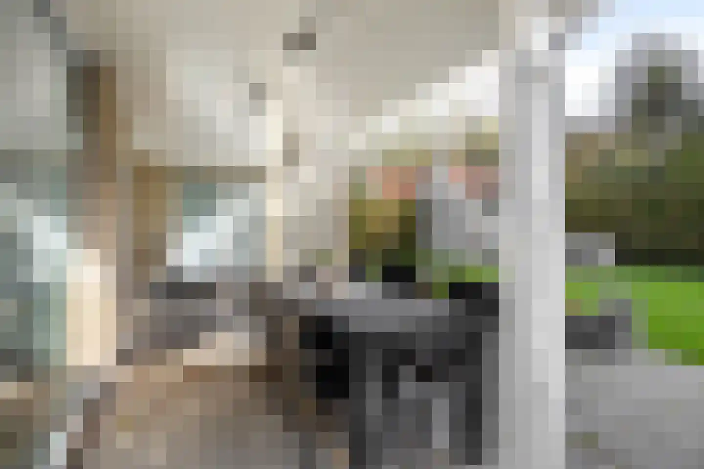 Kering 23 Kamperland thumbnail 30