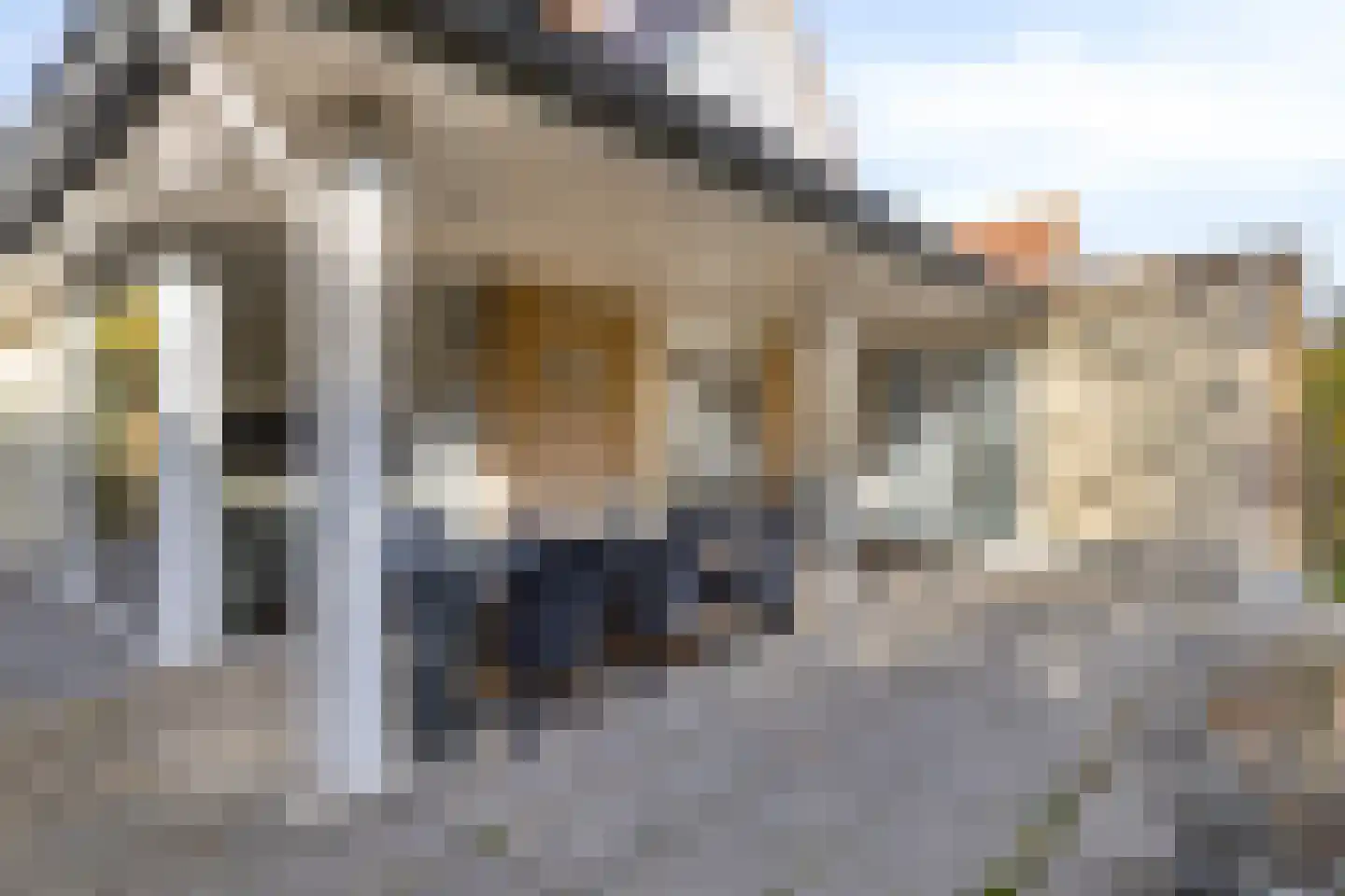 Kering 23 Kamperland thumbnail 31