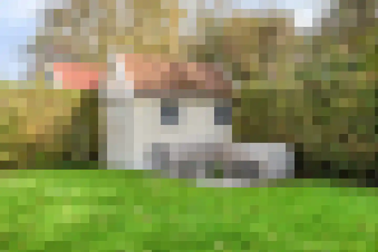 Kering 23 Kamperland thumbnail 32