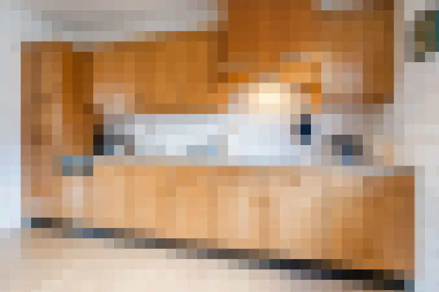 Kerisakkerstraat 18 Erp thumbnail 16