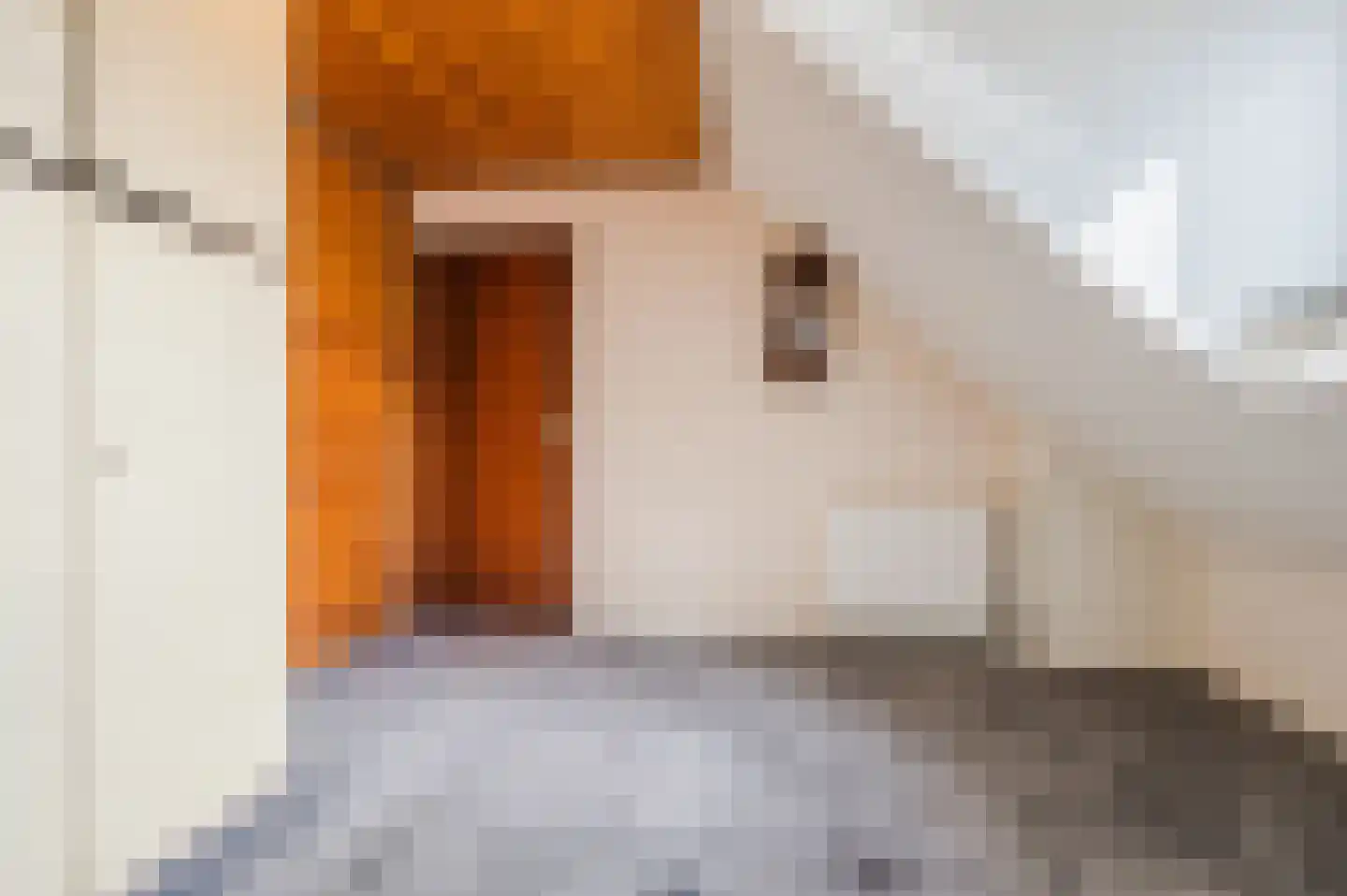 Kerisakkerstraat 18 Erp thumbnail 27