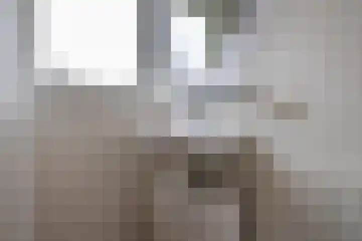 Kerkakkers 26 Heiloo thumbnail 20