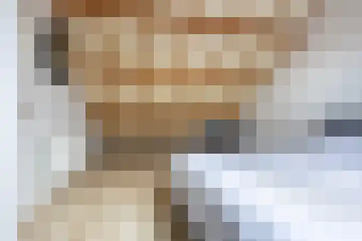 Kerkakkers 26 Heiloo thumbnail 22