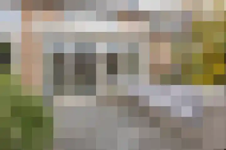 Kerkakkers 26 Heiloo thumbnail 24