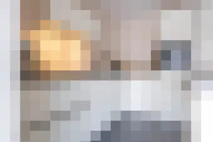 Kerkakkers 26 Heiloo thumbnail 8