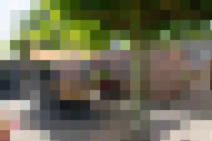 Kerkakkers 6 Groessen thumbnail 36