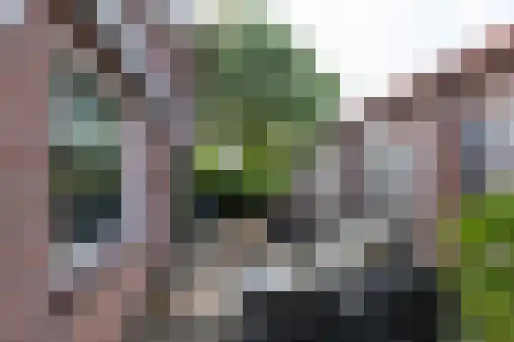 Kerkakkers 6 Groessen thumbnail 42