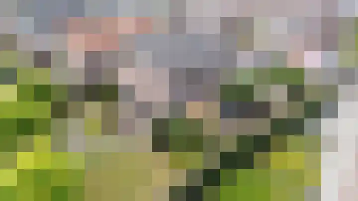 Kerkakkers 6 Groessen thumbnail 50