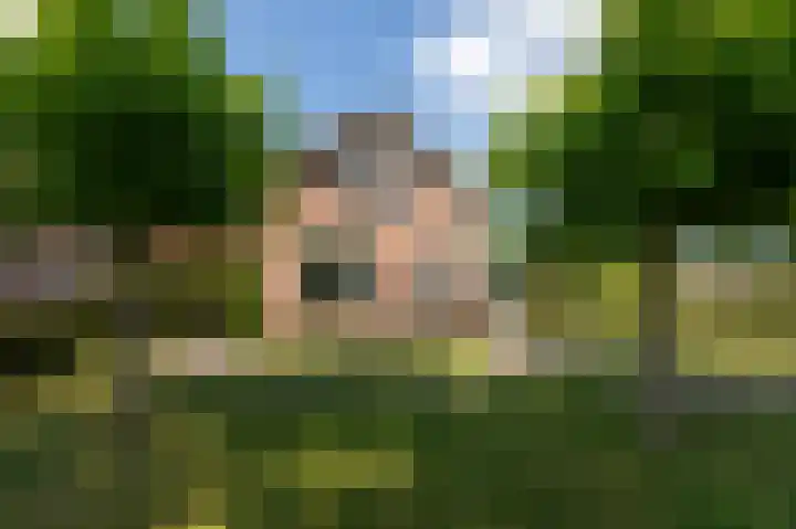 Kerkakkers 6 Groessen thumbnail 52